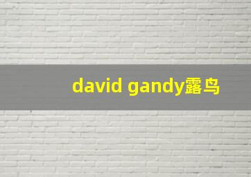 david gandy露鸟